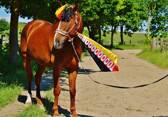 愛德華茲憑 愛德華茲憑