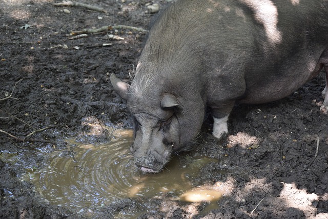 表現書寫了 表現書寫了