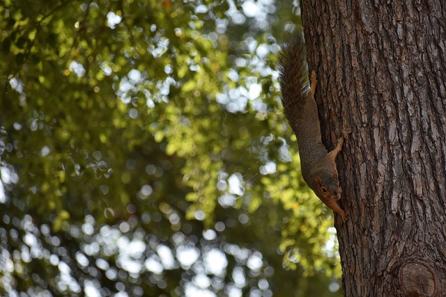 更贡献了四 更贡献了四