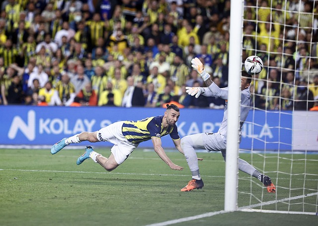 队中不可或 队中不可或