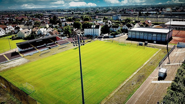 中国铿锵玫 中国铿锵玫